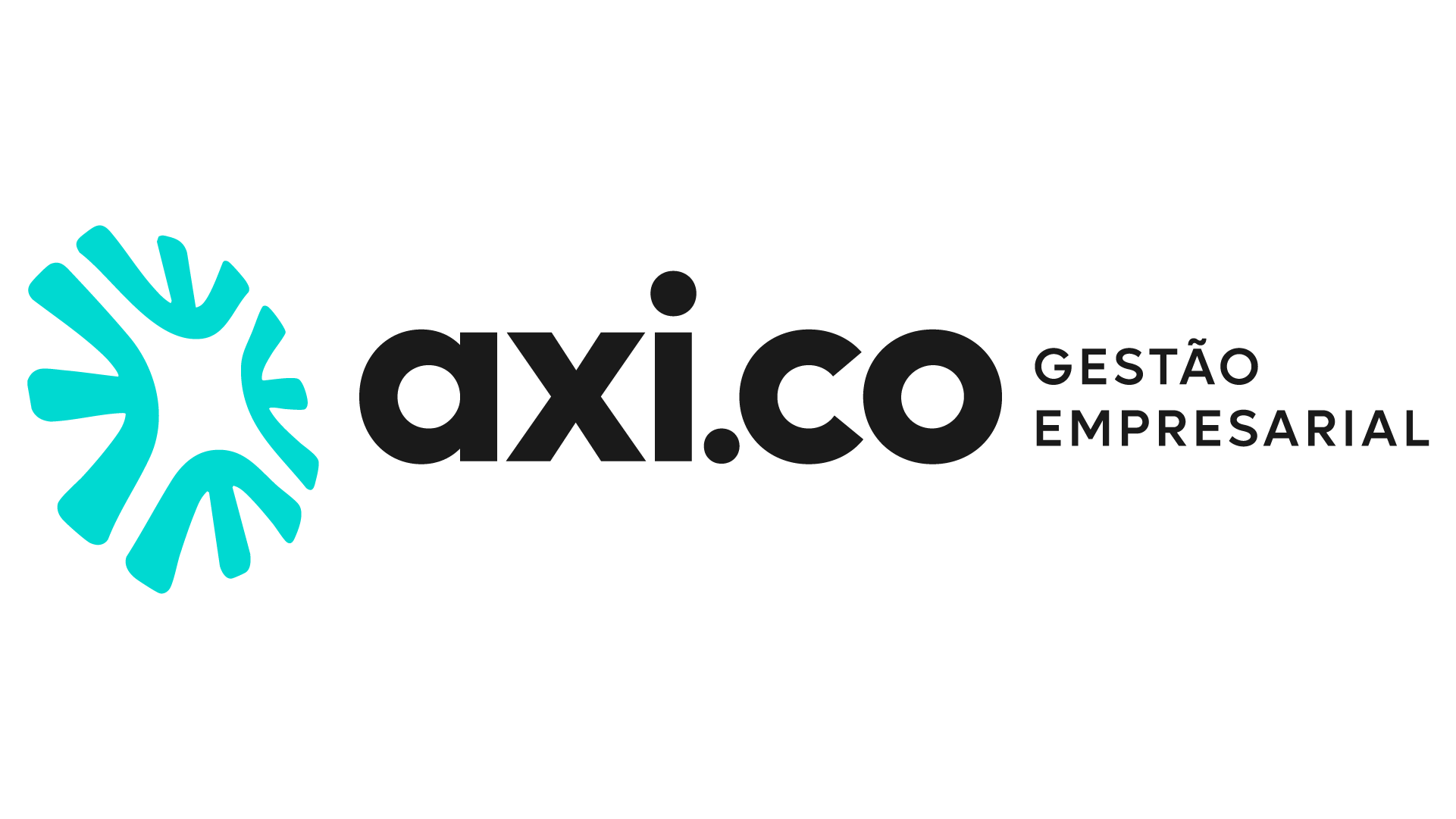 AXI.CO Gestão Empresarial